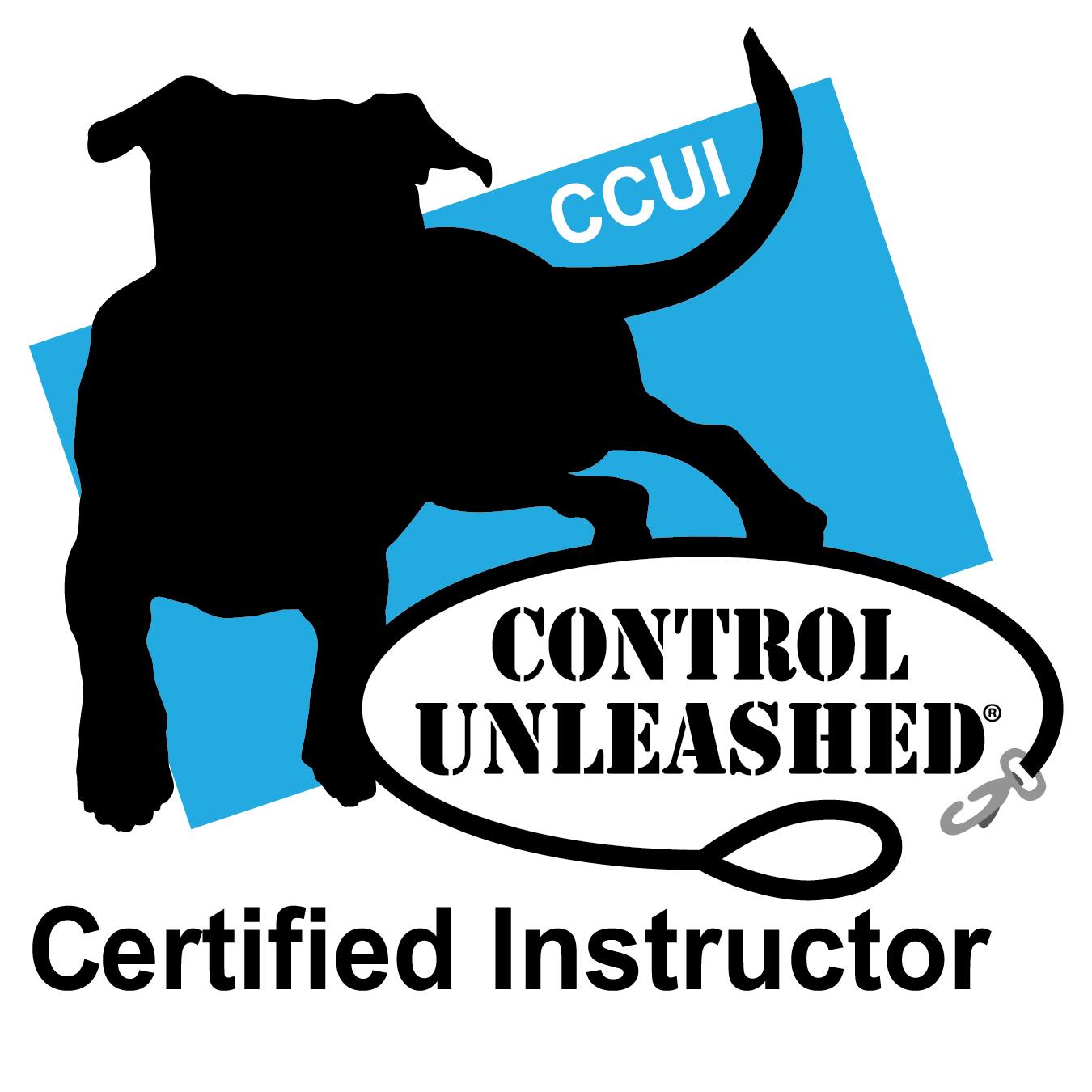 Control Unleashed certified instructor